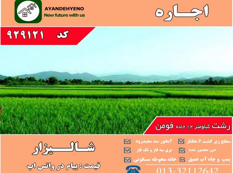 اجاره شالیزار گیلان