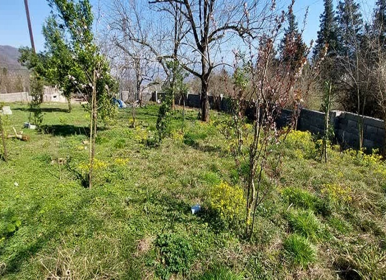 فروش زمین اسکولک