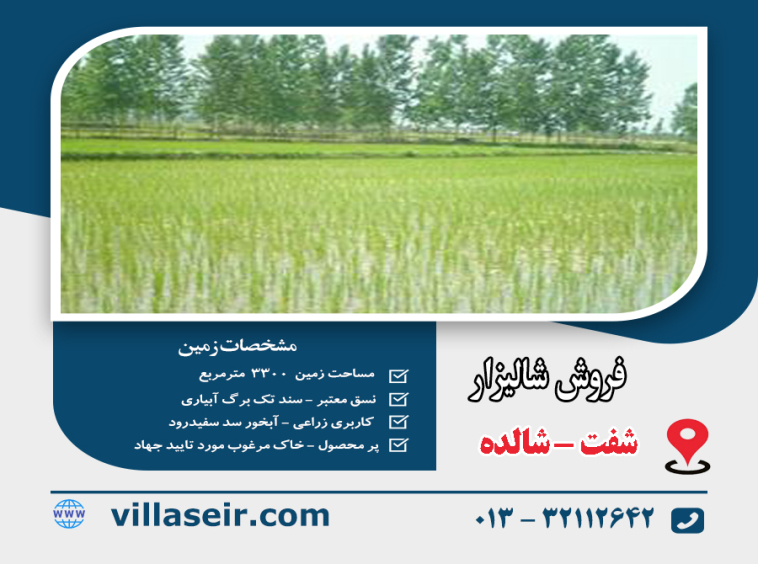 فروش شالیزار شفت شالده