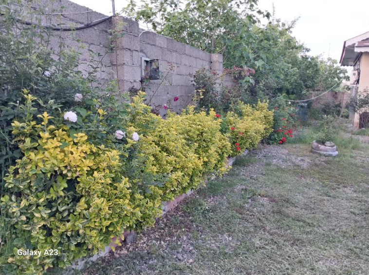 اجاره روزانه ویلا فومن
