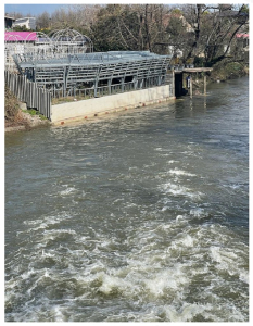 رودخانه خروشان چپرپردرود