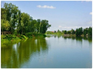 تالاب ولکس رشت