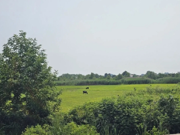 اجاره ویلا رشت